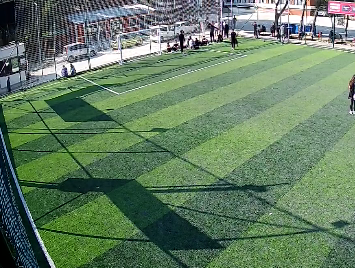 Asist Performans Halı Saha