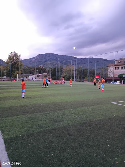 Paşakent Halı Saha