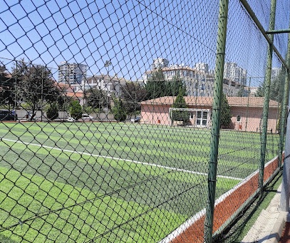 Emiryaman Hali Saha