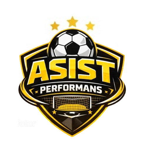 Asist Performans Halı Saha